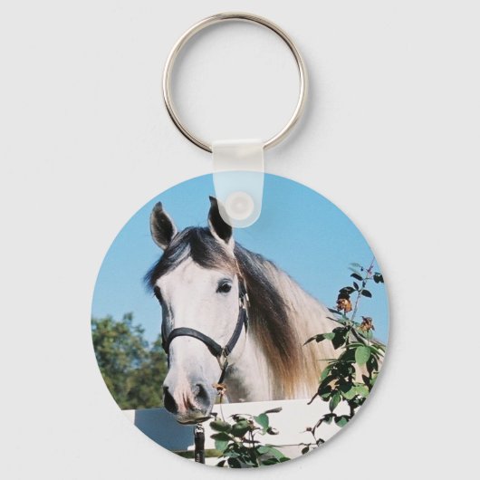 PORTE-CLÉS PORTE - CLÉ DE CHEVAL ANDALOUSIEN (Recto)