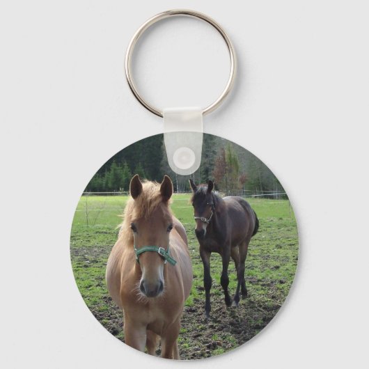 Porte-clés Porte - clé de chevaux (Recto)