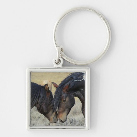 Porte-clés Porte - clé de chevaux romantiques (Devant)