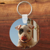 Porte-clés Porte - clé de chien (Recto)