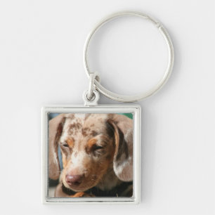 Porte-clés Porte - clé de chien de Daschund
