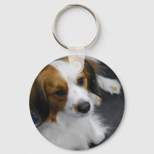 Porte-clés Porte - clé de chien de Kooikerhondje
