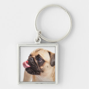 Porte-clés Porte - clé de chien mignon 1