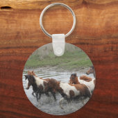 Porte-clés Porte - clé de Chincoteague Ponies (Recto)