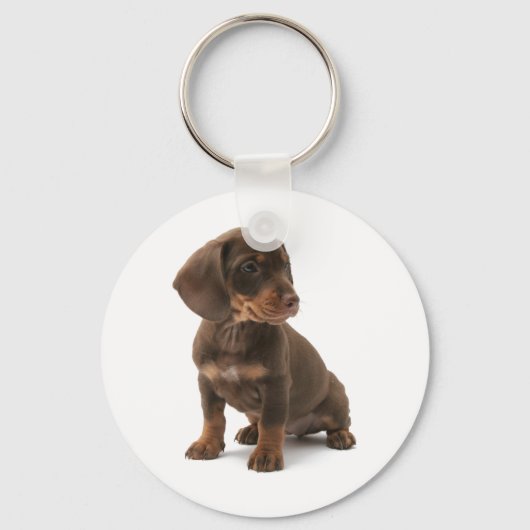Porte-clés Porte - clé de chiot Dachshund (Recto)