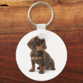 Porte-clés Porte - clé de chiot Dachshund (Recto)