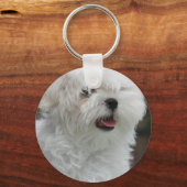 Porte-clés Porte - clé de chiot maltais blanc (Recto)