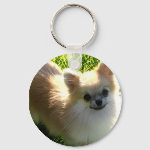 Porte-clés Porte - clé de chiots de Pomeranian