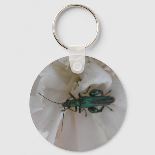 Porte-clés Porte - clé de coléoptère à fleurs (Recto)