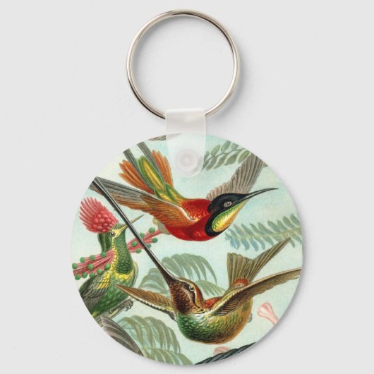 Porte-clés Porte - clé de colibri (Recto)