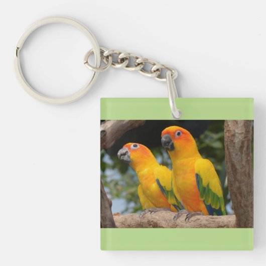 Porte-clés Porte - clé de Conures (Devant)