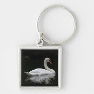 Porte-clés Porte - clé de cygne blanc gracieux
