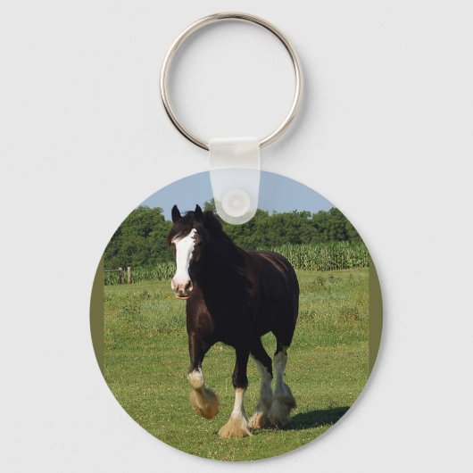 Porte-clés porte - clé de destination (Recto)
