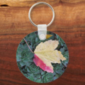 Porte-clés Porte - clé de feuilles et de succulents avec moti (Recto)
