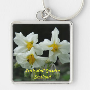 Porte-clés Porte - clé de fleur de jardin de Leith Hall