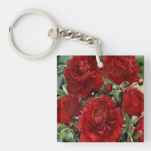 Porte-clés Porte - clé de fleurs de carnation rouge (Devant)
