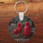 Porte-clés Porte - clé de fleurs de neige (Recto)