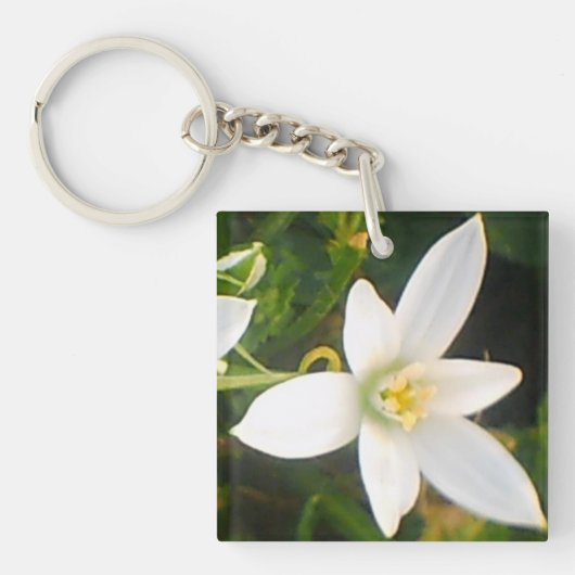 Porte-clés Porte - clé de fleurs du printemps blanc (Devant)