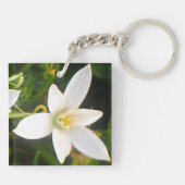 Porte-clés Porte - clé de fleurs du printemps blanc (Dos)