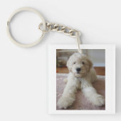 Porte-clés Porte - clé de Goldendoodle (Devant)
