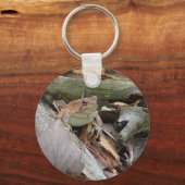 Porte-clés Porte - clé de grenouille (Recto)