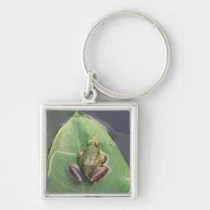 Porte-clés Porte - clé de grenouille