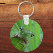 Porte-clés Porte - clé de grenouille (Recto)