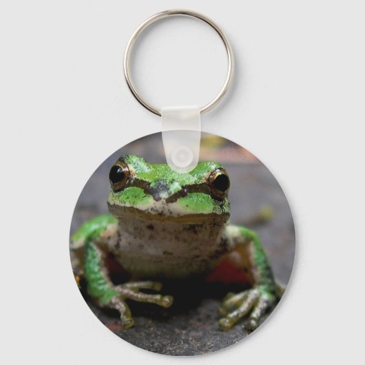 Porte-clés Porte - clé de grenouille arborescente (Recto)