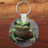Porte-clés Porte - clé de grenouille arborescente (Recto)