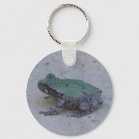 Porte-clés Porte - clé de grenouille mûre (Recto)