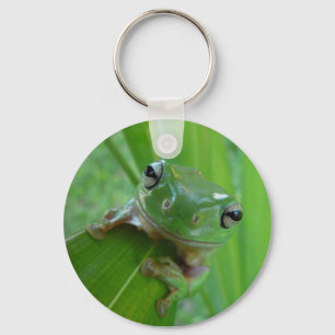 Porte-clés porte - clé de grenouille verte
