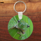 Porte-clés porte - clé de grenouille verte (Recto)