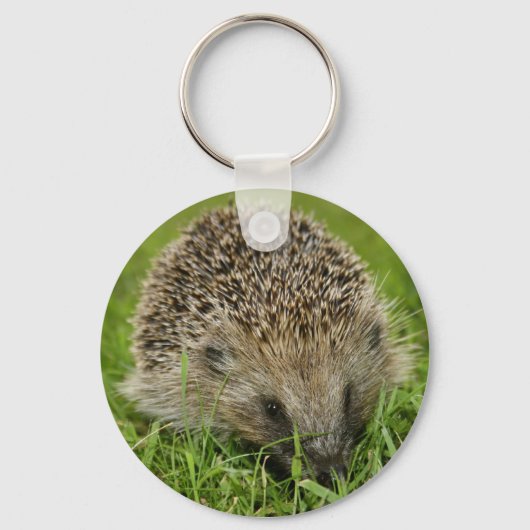 Porte-clés Porte - clé de hérisson (Recto)