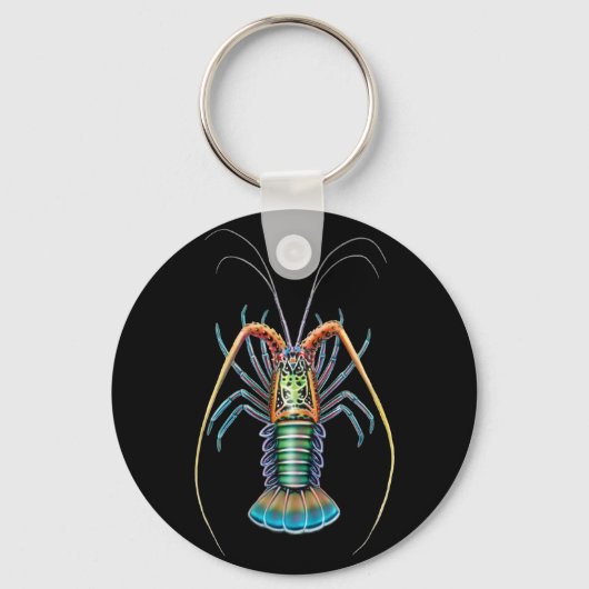 Porte-clés Porte - clé de homard épineux (Recto)