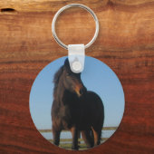 Porte-clés Porte - clé de la baie (Recto)