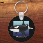 Porte-clés Porte - clé de la baleine tueuse (Recto)