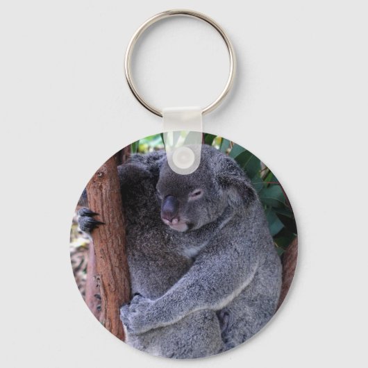 Porte-clés Porte - clé de la famille Koala (Recto)