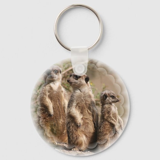 Porte-clés Porte - clé de la famille Meerkat (Recto)