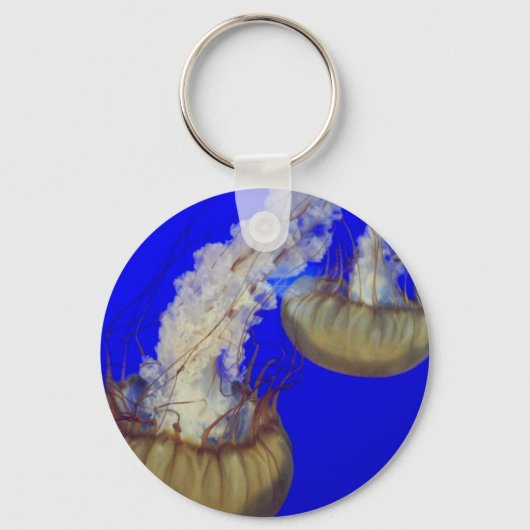 Porte-clés porte - clé de la méduse (Recto)