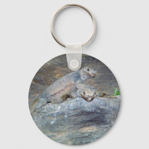 Porte-clés Porte - clé de la tête de Chuckwalla