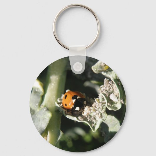 Porte-clés Porte - clé de Ladybug britannique à 7 emplacement (Recto)