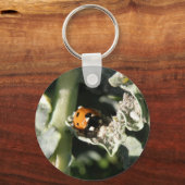 Porte-clés Porte - clé de Ladybug britannique à 7 emplacement (Recto)