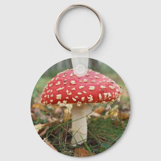 Porte-clés Porte - clé de l'Agaric rouge (Recto)