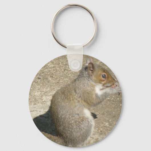 Porte-clés Porte - clé de l'écureuil affamé (Recto)