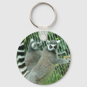 Porte-clés Porte - clé de lémur