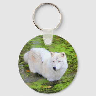 Porte-clés Porte - clé de loup blanc