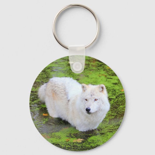Porte-clés Porte - clé de loup blanc (Recto)