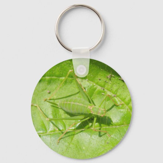 Porte-clés Porte - clé de macro cricket vert (Recto)