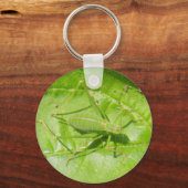 Porte-clés Porte - clé de macro cricket vert (Recto)
