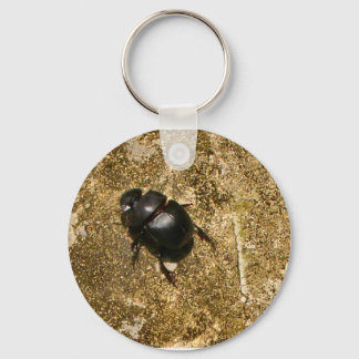 Porte-clés Porte - clé de marche du scarabée Scarab